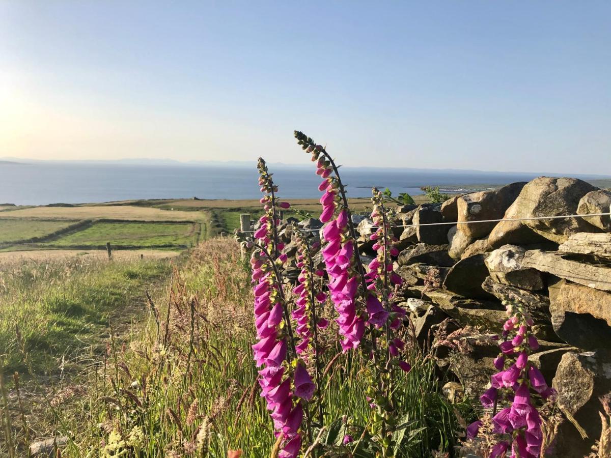 Ocean View Guestrooms Doolin Εξωτερικό φωτογραφία