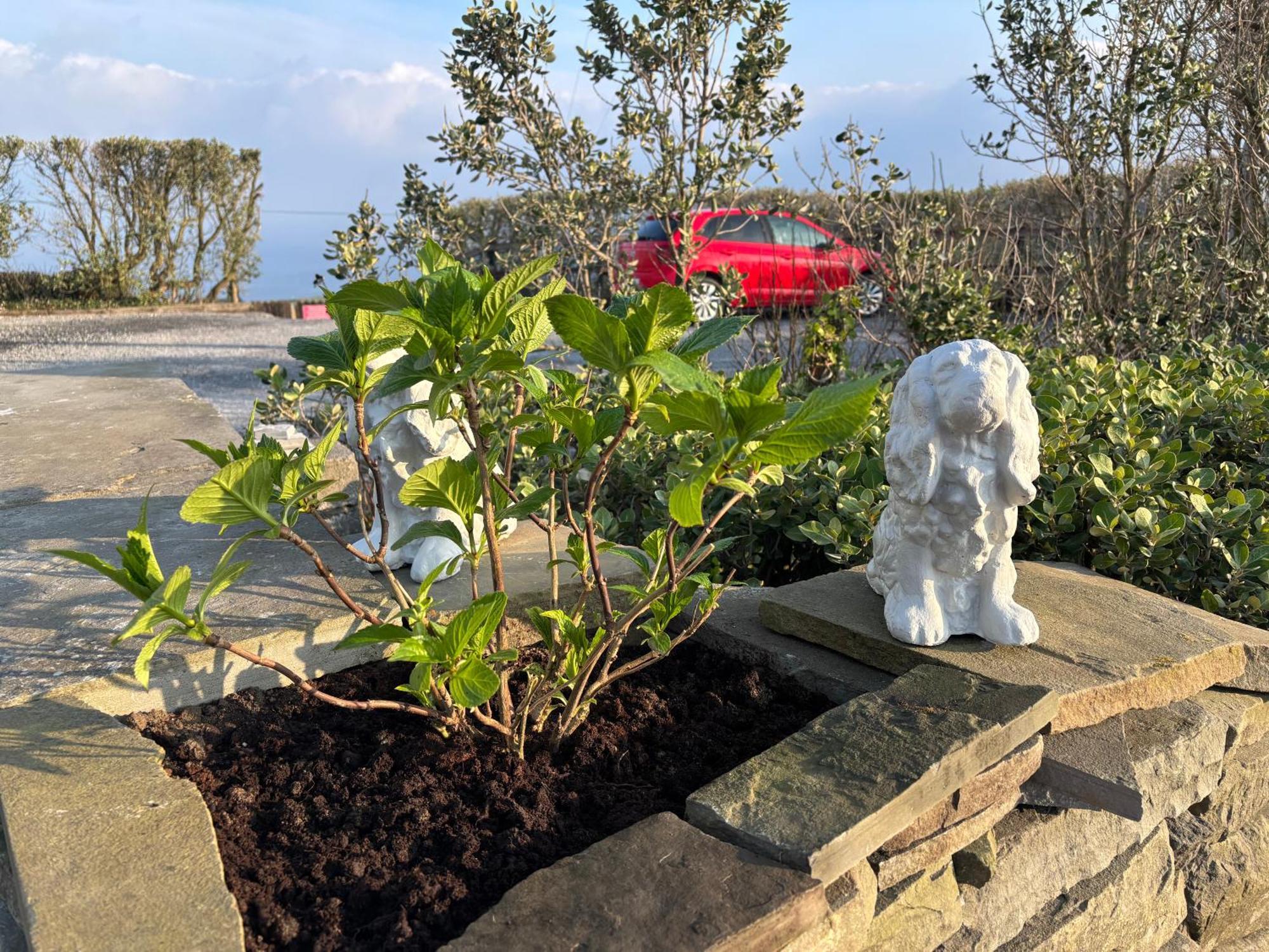 Ocean View Guestrooms Doolin Εξωτερικό φωτογραφία